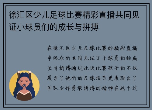 徐汇区少儿足球比赛精彩直播共同见证小球员们的成长与拼搏